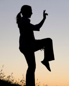 Tai Chi