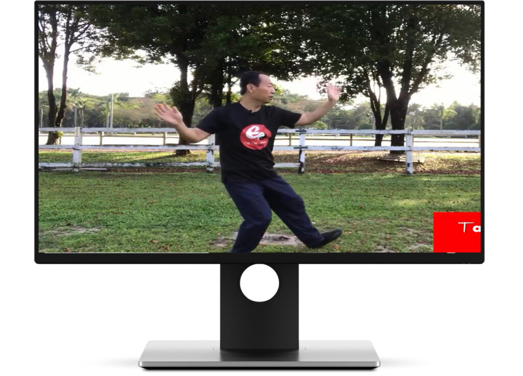 Tai Chi Chen Style