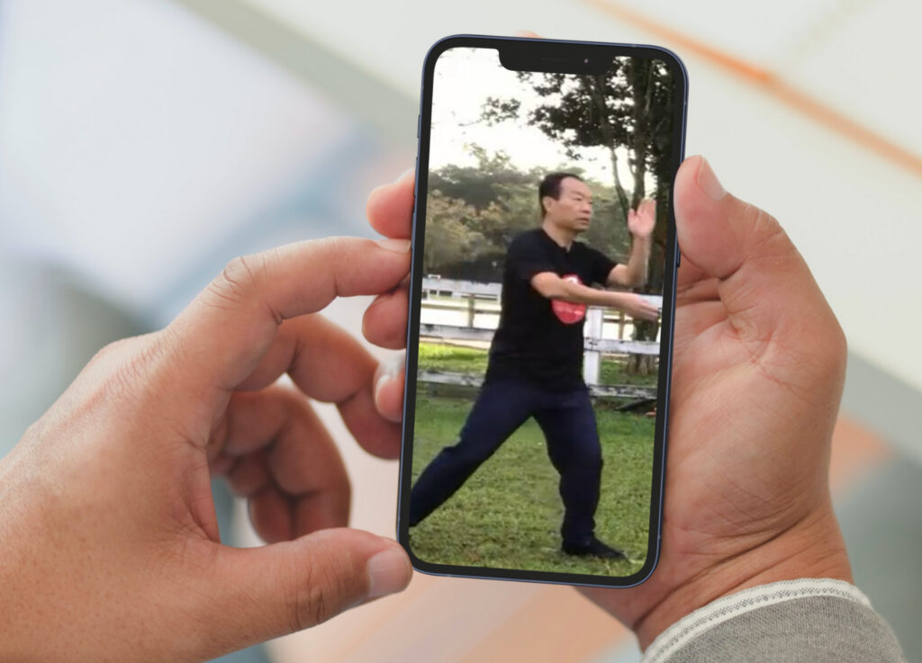 Tai Chi Chen Style