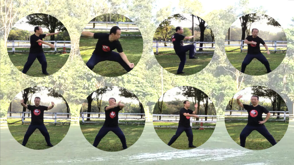 Tai Chi Chen Style 38 Form